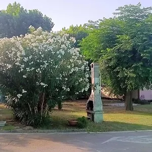 L'oasi Di Lulu' Campeggio Senigallia